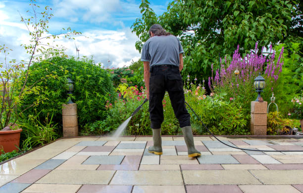 Best Winterizing Services  in Alton, IA